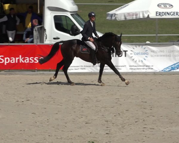 Reitturnier Wildeshausen 2022