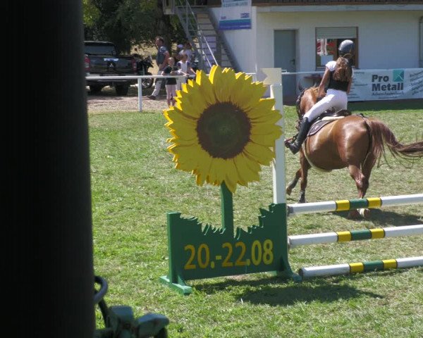 Reitturnier Nussbach 2022