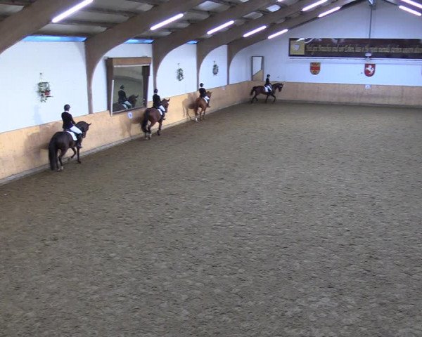 Reitturnier Olfen-Vinnum 2022