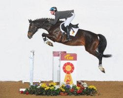 dressage horse Capry-Sonne (Bavarian, 2004, from Acordelli)