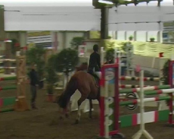 jumper Copyright (Württemberger, 2005, from Cessna)