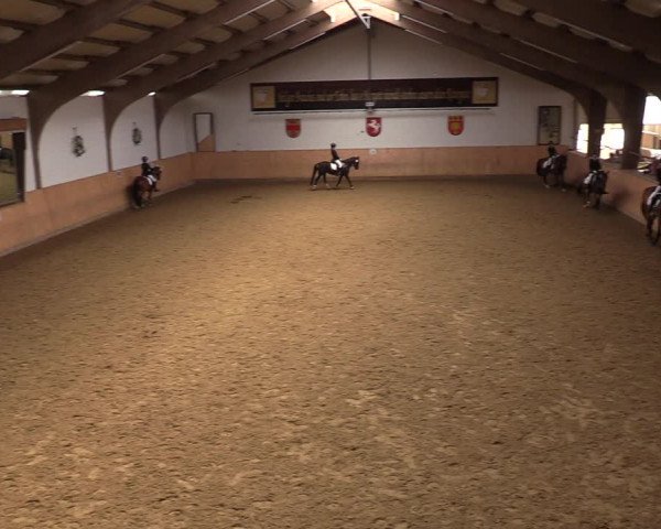 Reitturnier Olfen-Vinnum 2022