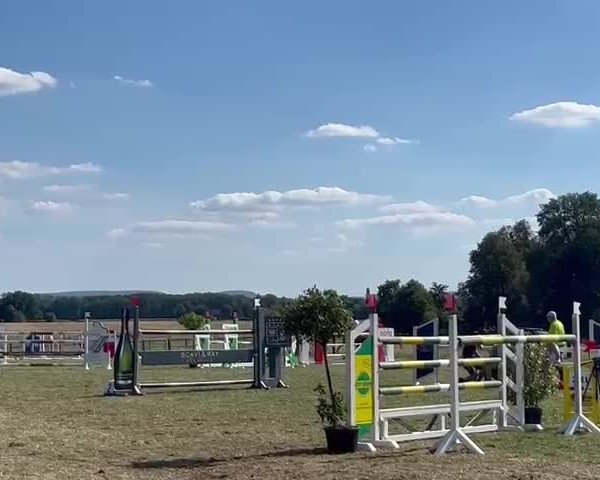 Video of Querydo