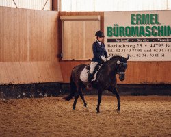 dressage horse Dolittle 18 (unknown, 2003)