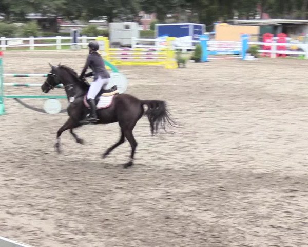 Springturnier Mildstedt 2021