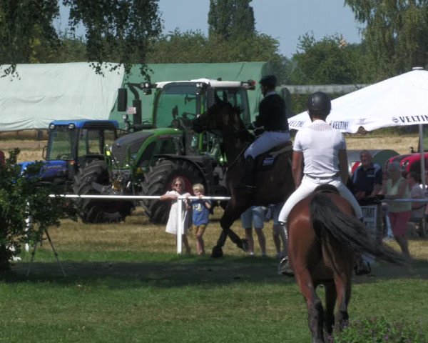 Reitturnier Nussbach 2022