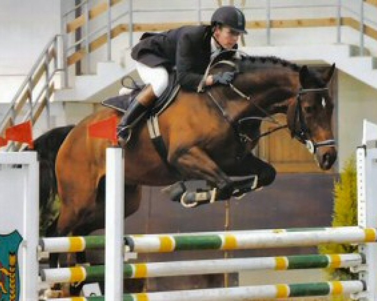 stallion Wolkenstürmer (Luxembourg horse, 1997, from Wolkenstein II)