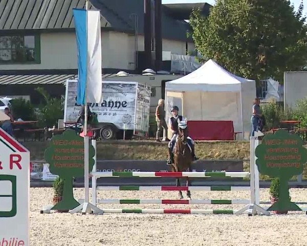 Reitturnier Grafenrheinfeld/Ufr. 2022