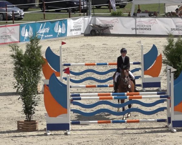 Reitturnier Wildeshausen 2022
