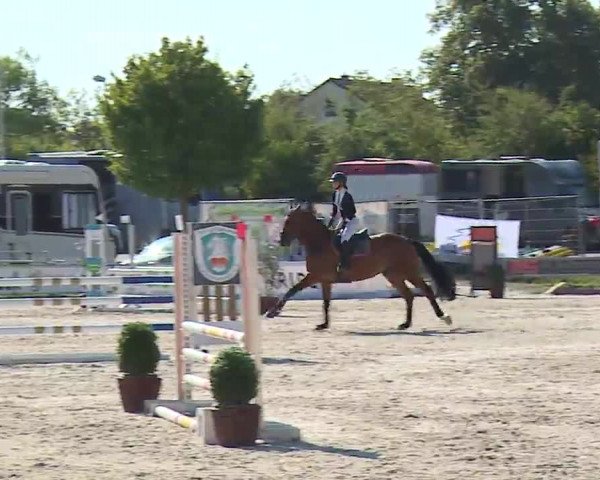 Reitturnier Grafenrheinfeld/Ufr. 2022