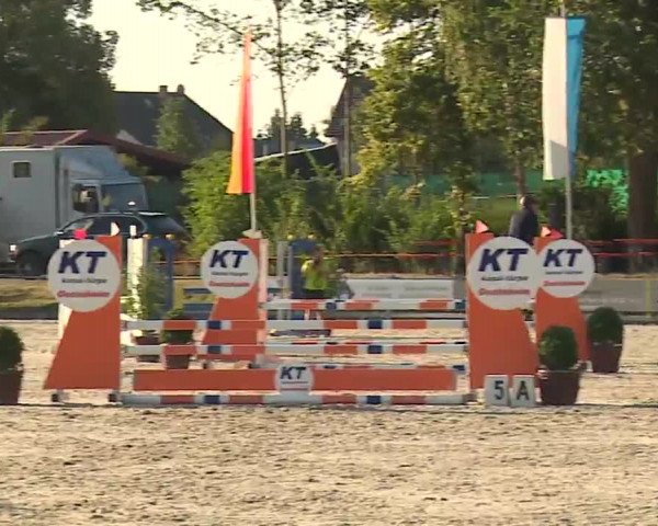 Reitturnier Grafenrheinfeld/Ufr. 2022