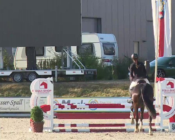 Reitturnier Grafenrheinfeld/Ufr. 2022
