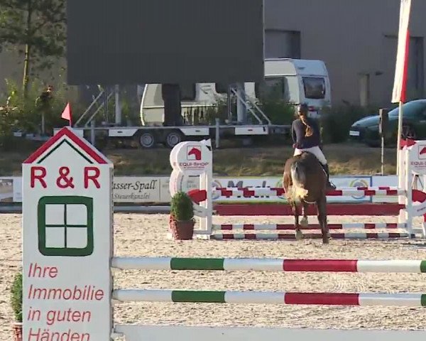 Reitturnier Grafenrheinfeld/Ufr. 2022