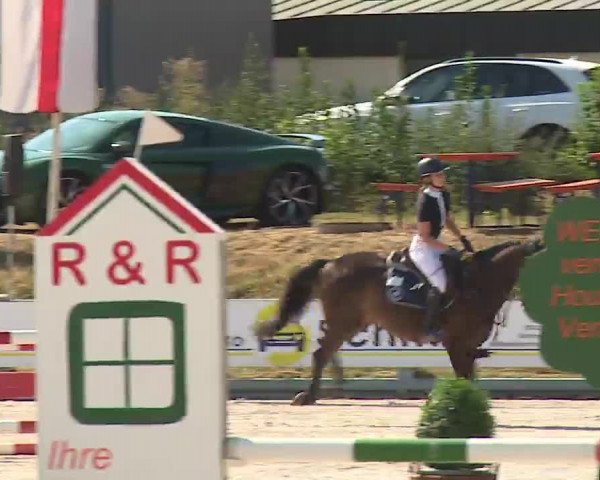 Reitturnier Grafenrheinfeld/Ufr. 2022
