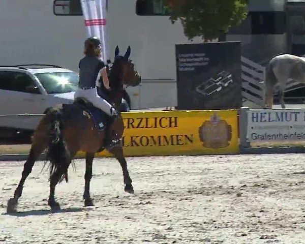 Reitturnier Grafenrheinfeld/Ufr. 2022