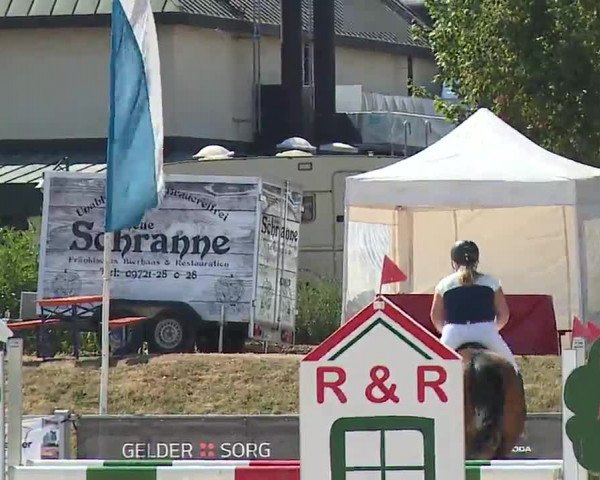 Reitturnier Grafenrheinfeld/Ufr. 2022