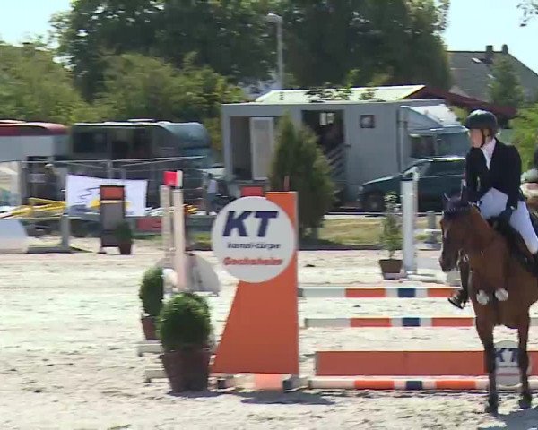 Reitturnier Grafenrheinfeld/Ufr. 2022