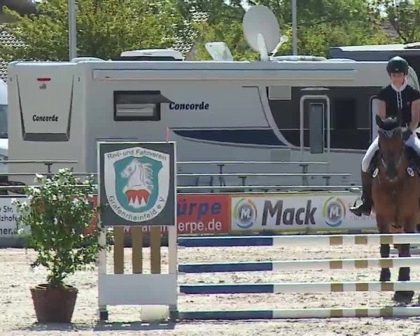 Reitturnier Grafenrheinfeld/Ufr. 2022