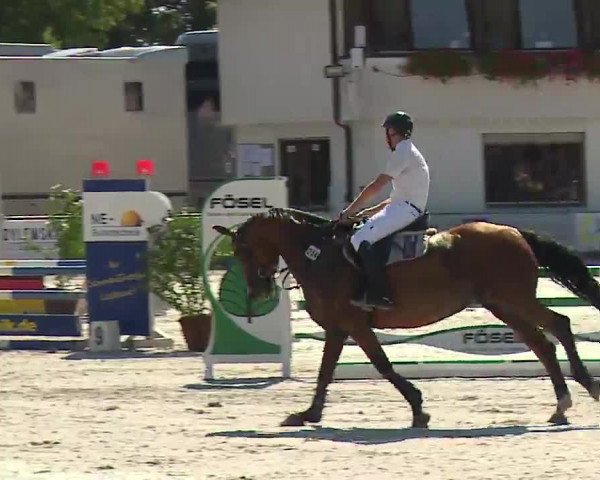 Reitturnier Grafenrheinfeld/Ufr. 2022