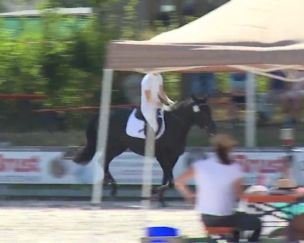 Reitturnier Grafenrheinfeld/Ufr. 2022