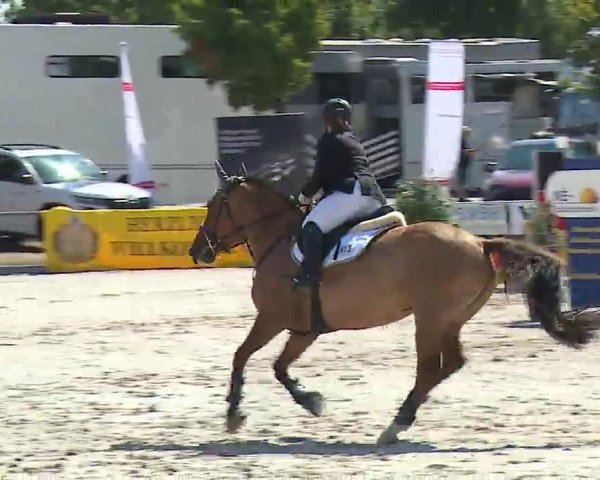Reitturnier Grafenrheinfeld/Ufr. 2022