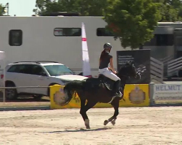 Reitturnier Grafenrheinfeld/Ufr. 2022