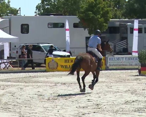 Reitturnier Grafenrheinfeld/Ufr. 2022