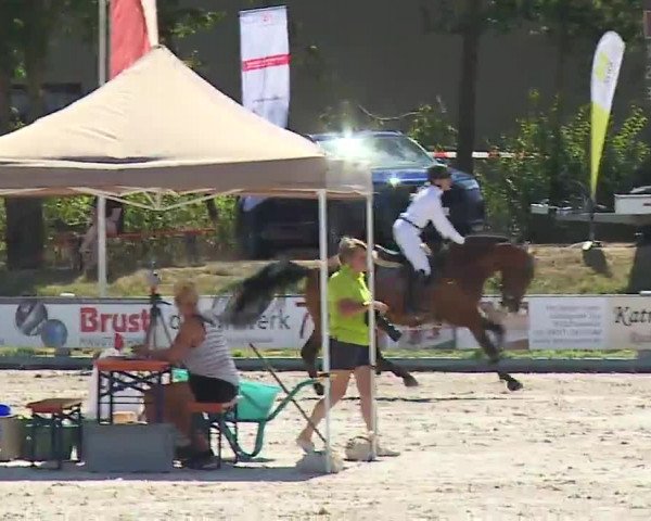 Reitturnier Grafenrheinfeld/Ufr. 2022