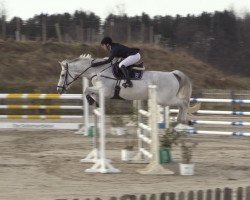 broodmare Butterblume I (Holsteiner, 2009, from Calido I)