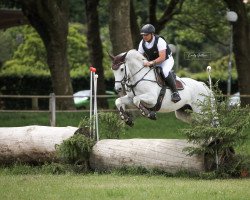 jumper Ferrari 138 (KWPN (Royal Dutch Sporthorse), 2010, from Cilvano D'Haverlande)