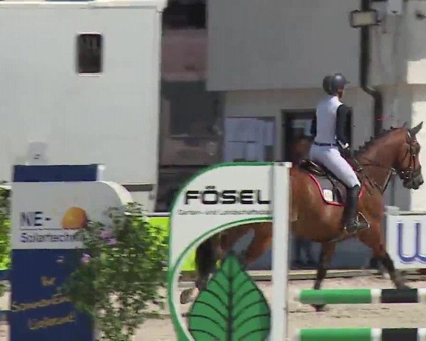 Reitturnier Grafenrheinfeld/Ufr. 2022