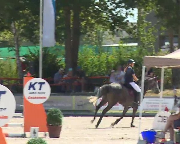 Reitturnier Grafenrheinfeld/Ufr. 2022