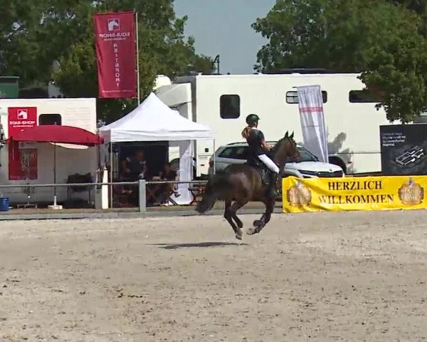 Reitturnier Grafenrheinfeld/Ufr. 2022