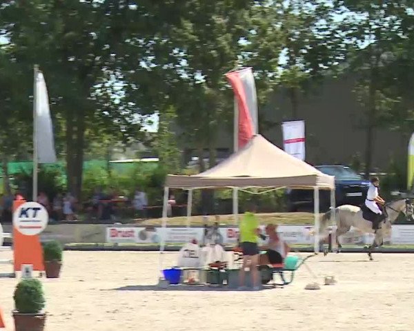 Reitturnier Grafenrheinfeld/Ufr. 2022