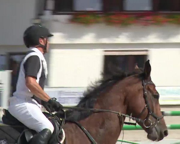Reitturnier Grafenrheinfeld/Ufr. 2022