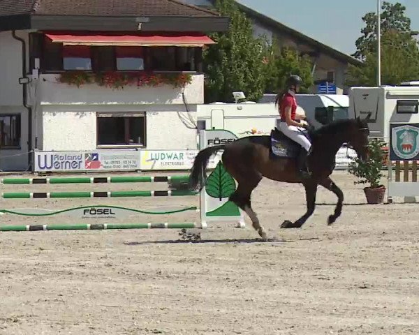Reitturnier Grafenrheinfeld/Ufr. 2022