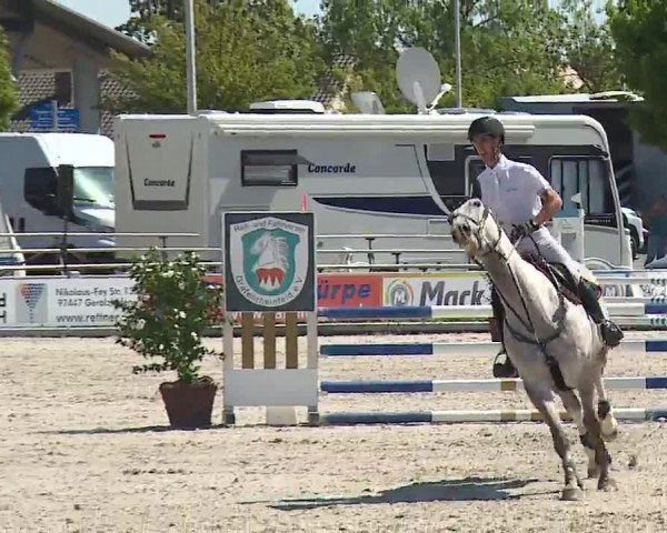 Reitturnier Grafenrheinfeld/Ufr. 2022