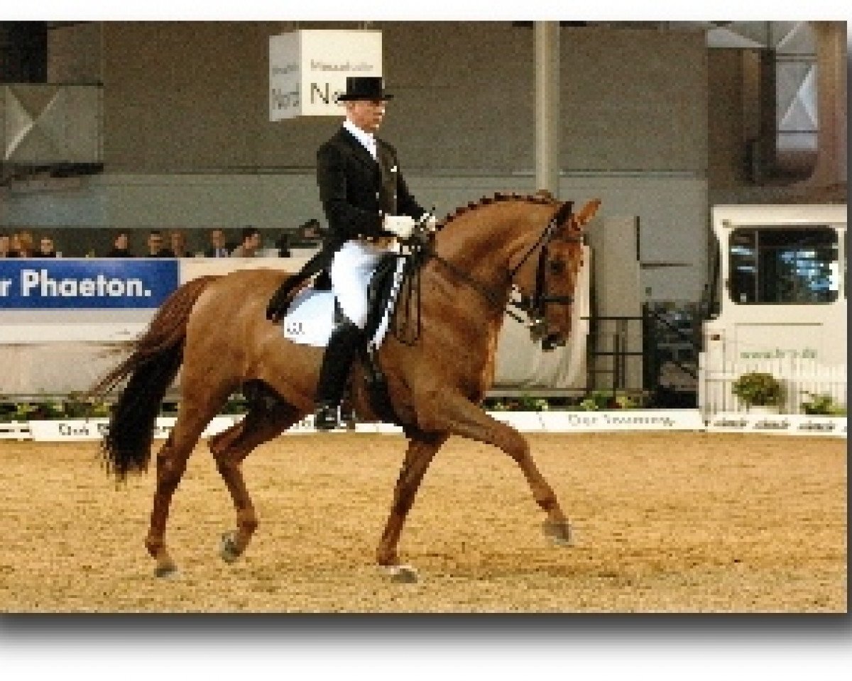 Deckhengst Breitling W (Hannoveraner, 1991, von Bismarck)