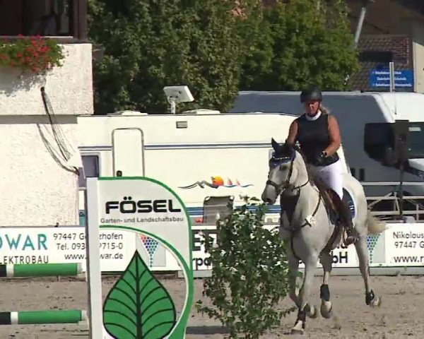 Reitturnier Grafenrheinfeld/Ufr. 2022
