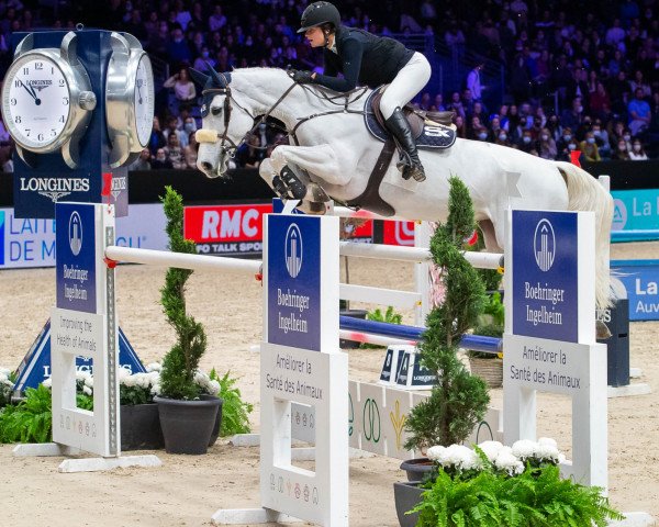jumper Ma Belle (Belgian Warmblood, 2012, from Ugano Sitte)