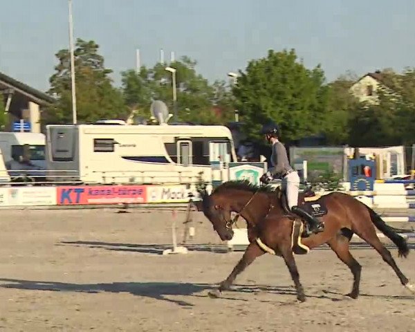 Reitturnier Grafenrheinfeld/Ufr. 2022