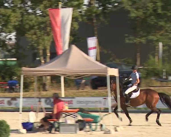 Reitturnier Grafenrheinfeld/Ufr. 2022