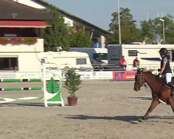 Reitturnier Grafenrheinfeld/Ufr. 2022