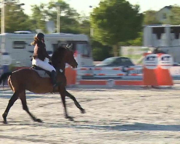 Reitturnier Grafenrheinfeld/Ufr. 2022