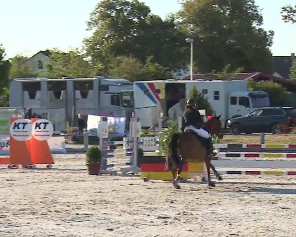 Reitturnier Grafenrheinfeld/Ufr. 2022