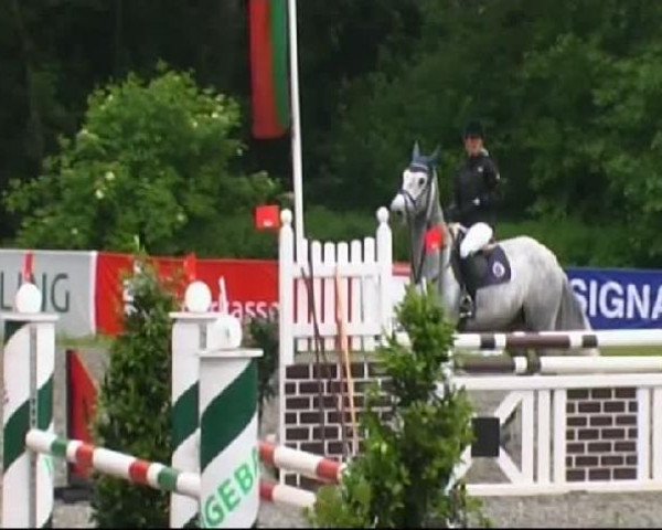 jumper Cäsar (Bavarian, 2005, from Cascano 185 FIN)