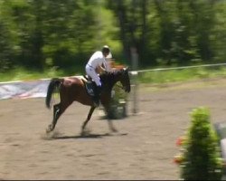 jumper Centurio 32 (Bavarian, 2005, from Centus)