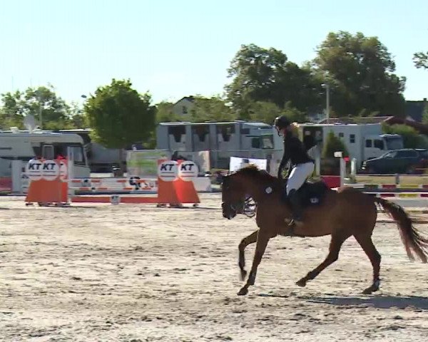 Reitturnier Grafenrheinfeld/Ufr. 2022