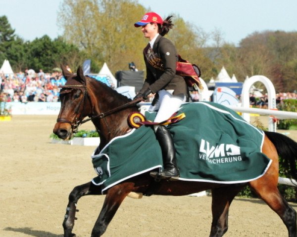 broodmare N-Caretina (Holsteiner, 1998, from Caretino)