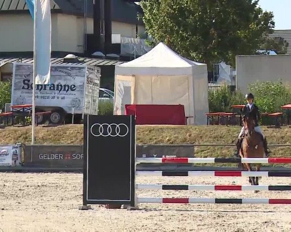 Reitturnier Grafenrheinfeld/Ufr. 2022